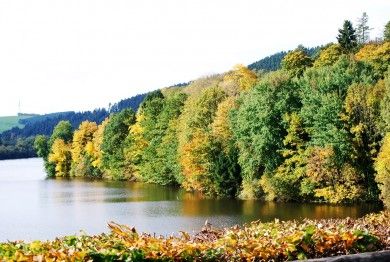 Kronenburger See