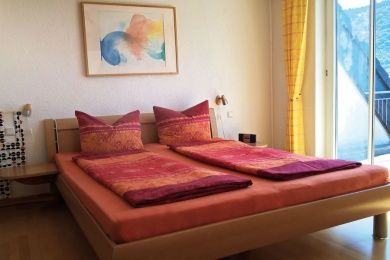 Ferienwohnung Am Weinberg - Ferienwohnung Moseltalblick