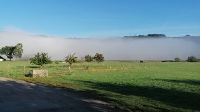 Ferienhaus in der Vulkaneifel Meerfeld