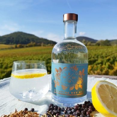 Weingut und Ferienwohnungen Erlenwein