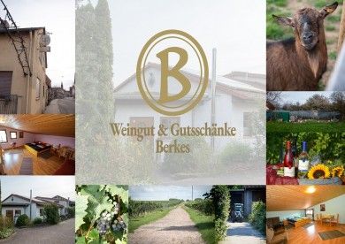 Weingut Berkes Gutschänke & Gästezimmer