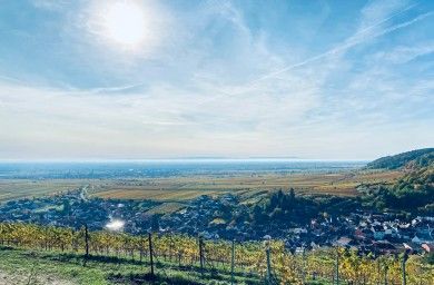 Ferienwohnung HALBSTÜCK | Pinot Noir