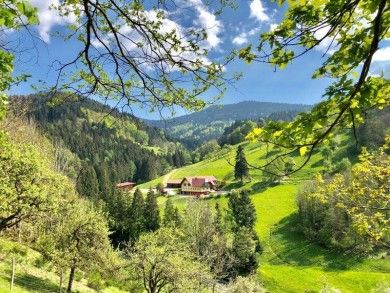 Ferienwohnungen Bierpeterhof