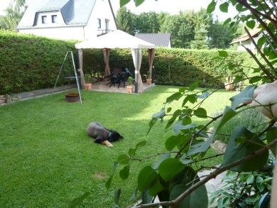 Ferienwohnung Feenhaus * Urlaub im Hunsrücker Idarwald