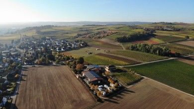 Weingut Sommer