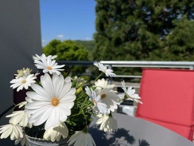 Urlaub für Körper und Geist - Ferienwohnung 