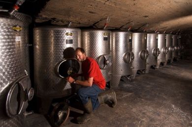 Pension und Weingut Schmitt-Rodermund