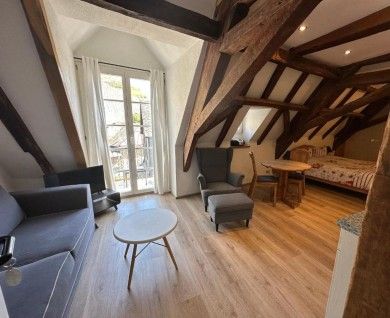 Mosel Ferienwohnung im Weingut Borchert – Springiersbacher Hof