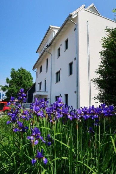 Black Forest Apartments in Gengenbach