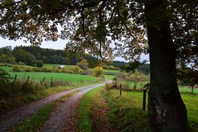 Ferienwohnung Mitten in der Natur