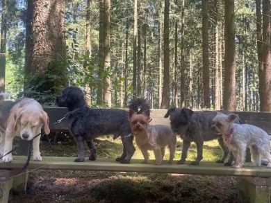 Ferienwohnung Mitten in der Natur