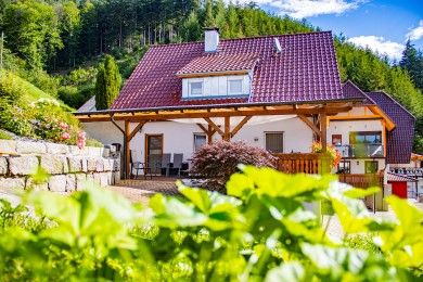 Ferienwohnung Williamsblick