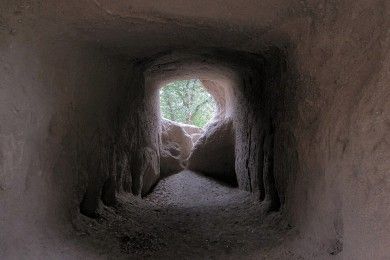 Foto: Stefan Oemisch