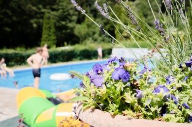 Camping Carpe Diem Wildberg