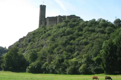 Ferienwohnung Burg Ardeck