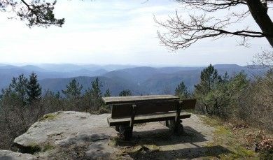 Ferienwohnung Rück - Hochstadt - südliche Weinstraße