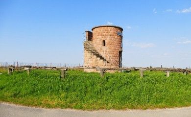 Ferienwohnung Rück - Hochstadt - südliche Weinstraße