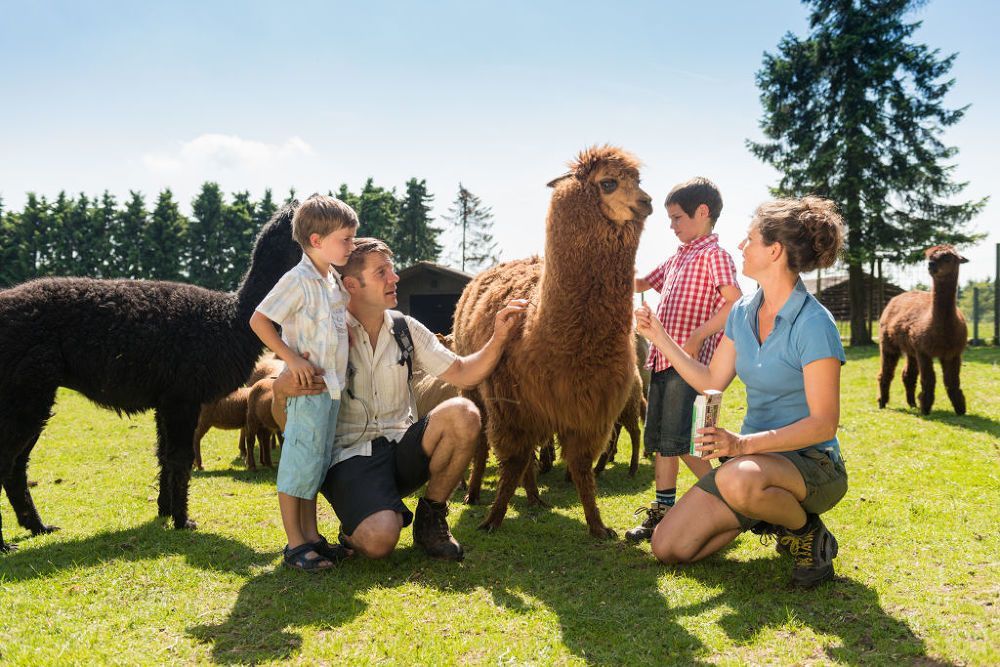 Tierpark Rheinland Pfalz