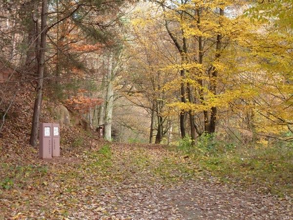 Haus Maria HDH in Bobenthal - Feriendomizil für Wanderer, Naturliebende und Familien