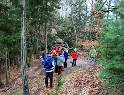 Ferienwohnungen Appartements Falkenmühle