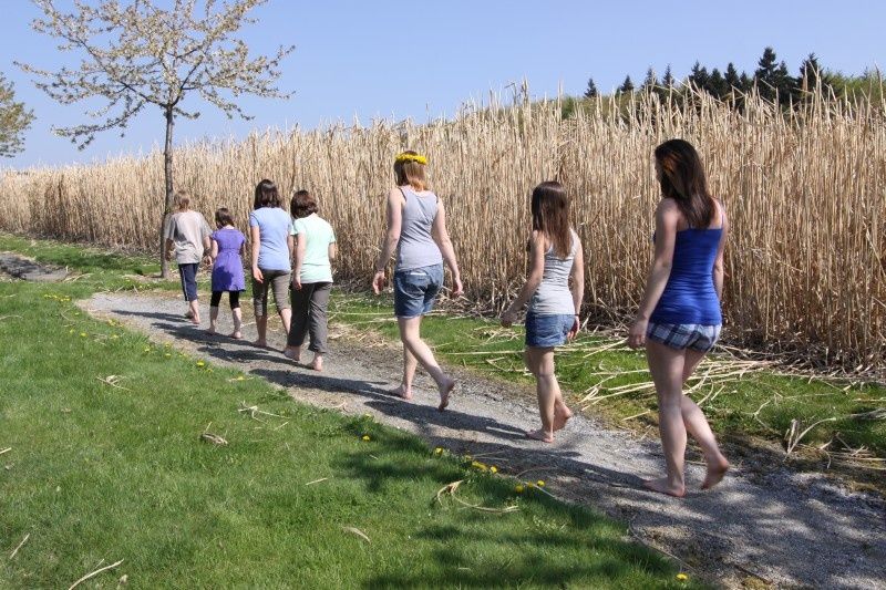 Höhenhof * Urlaub auf dem Bauernhof * Erlebnisbauernhof * 