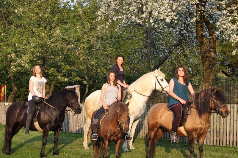 Höhenhof * Urlaub auf dem Bauernhof * Erlebnisbauernhof * 