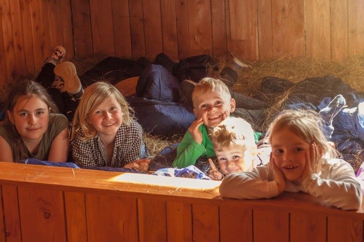 Höhenhof * Urlaub auf dem Bauernhof * Erlebnisbauernhof * 