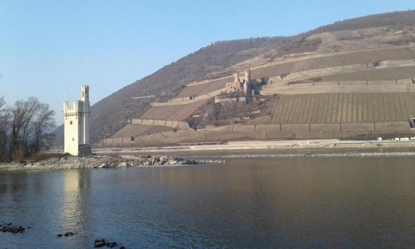 Ferienwohnung Batek am Rhein