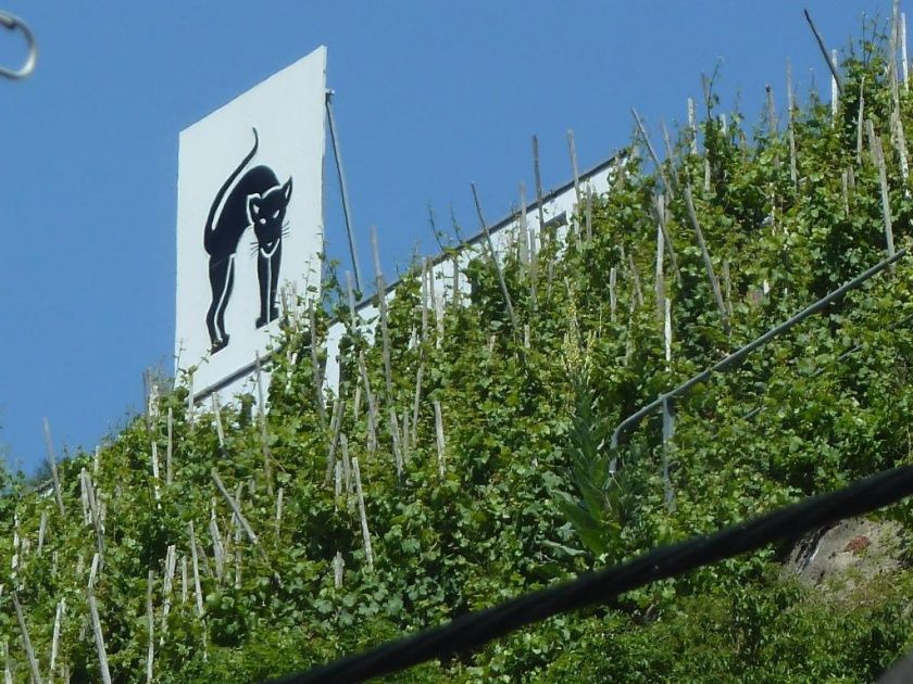 Ferienhaus Römerhäuschen