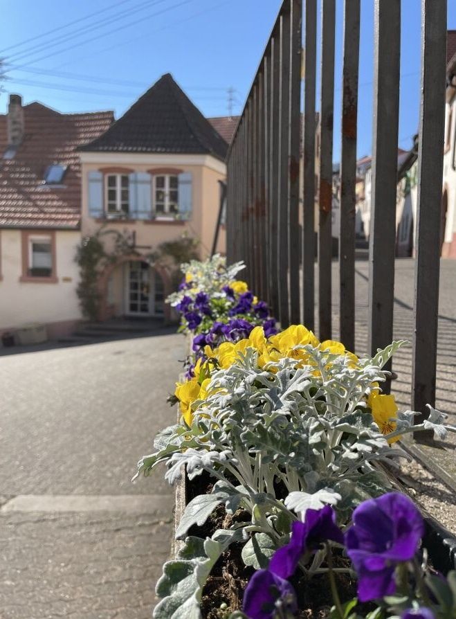 St. Martin -1801- Ferienwohnungen