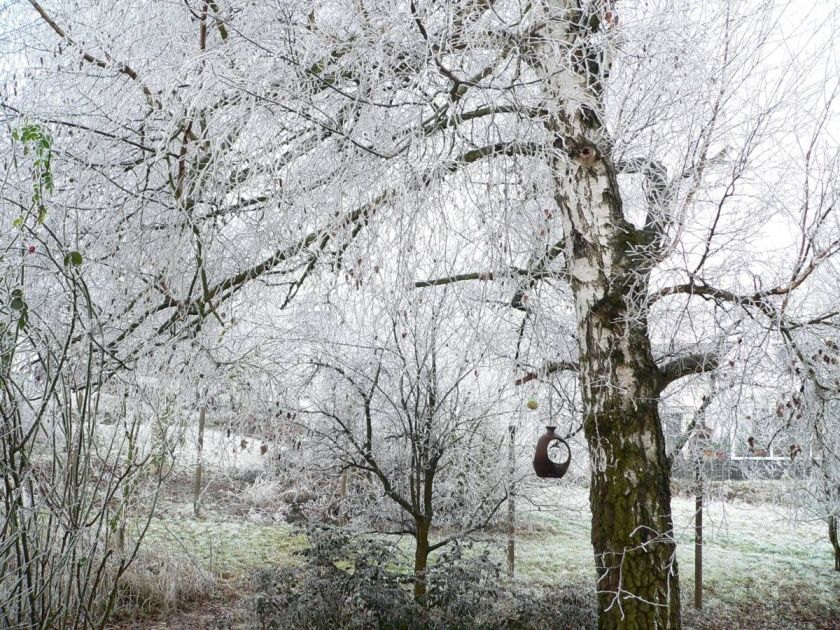 Ferienwohnung Ingrid