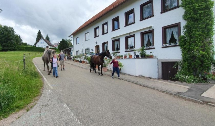 Gästehaus Wilder Mann