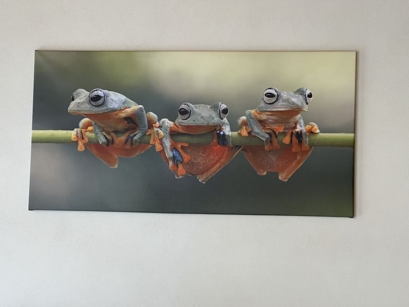 Apartment AlbChalet Die Drei