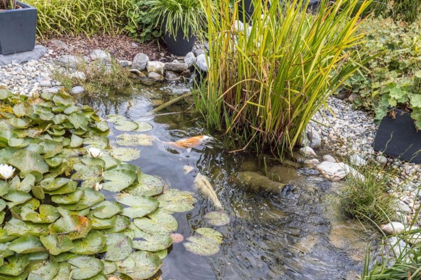 Ferienwohnung Griesbaum