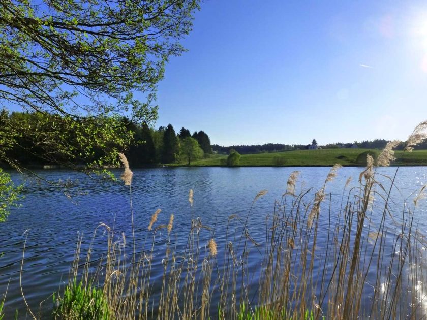 Hammerschmiedesee – Campingplatz und Teichgut