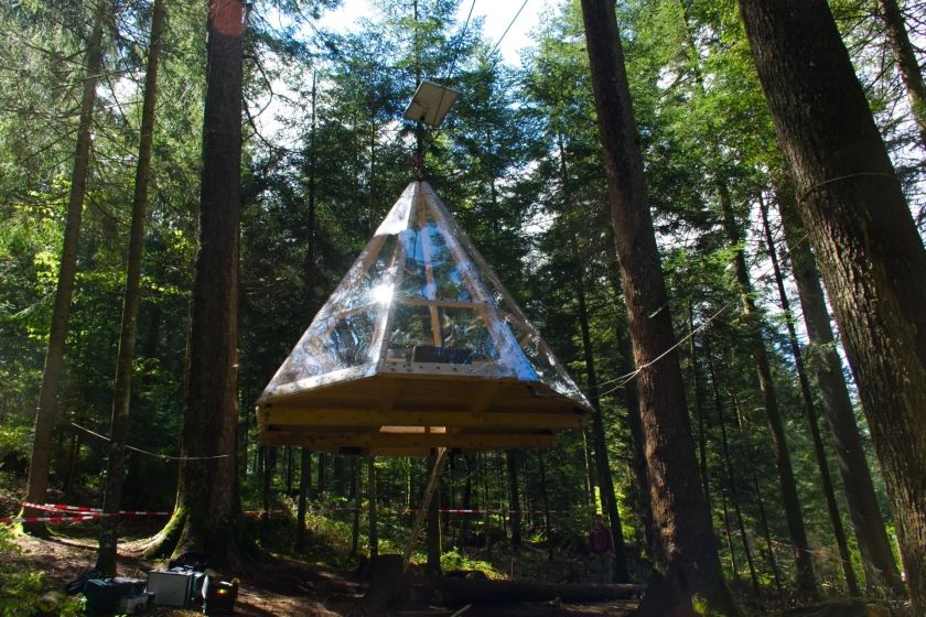 Baumhaus Freudenstadt Teuchelwald