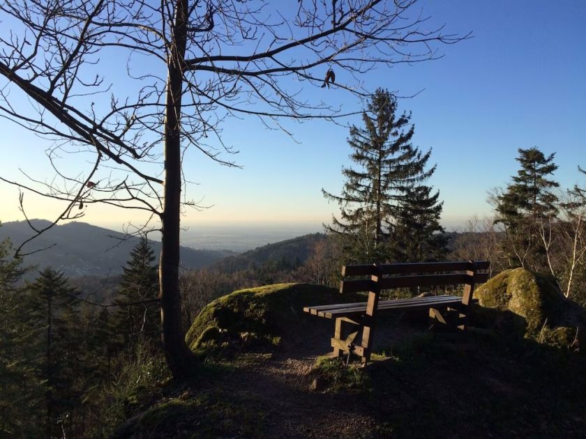 Ferienwohnung Sommerbergparadies