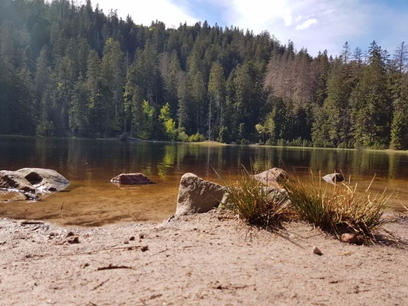 Ferienwohnung Sommerbergparadies