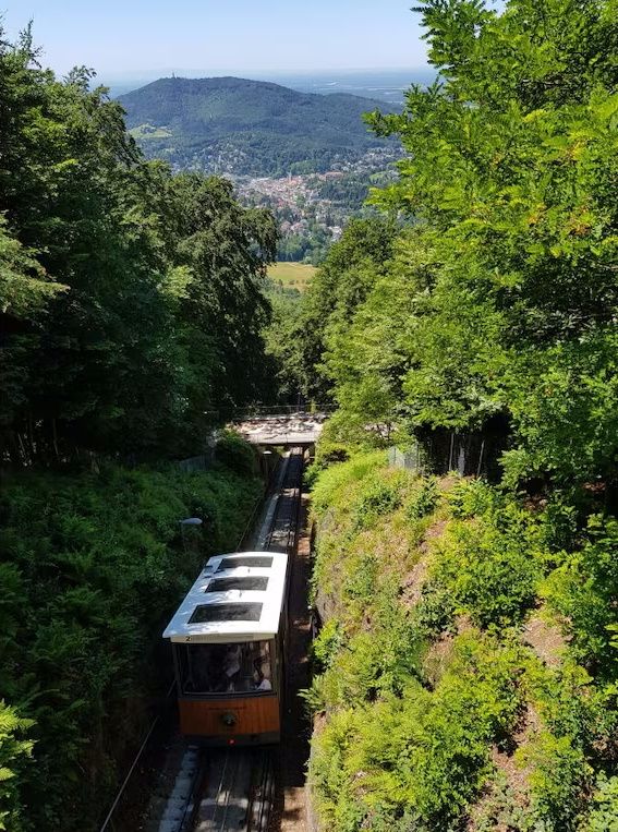 Ferienwohnung Sommerbergparadies