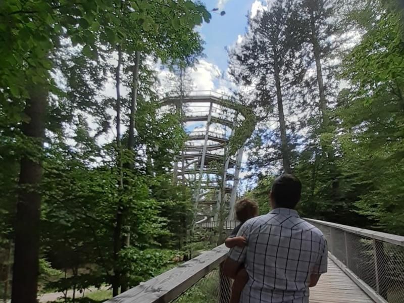 Ferienhaus am Ponyhof