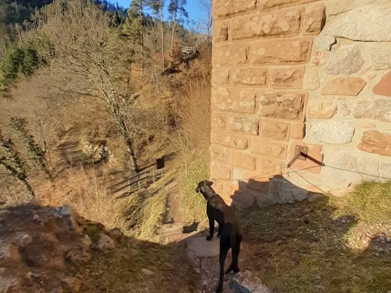 Ferienhaus am Ponyhof