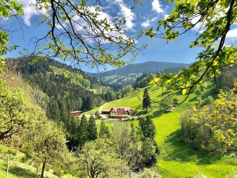 Ferienwohnungen Bierpeterhof