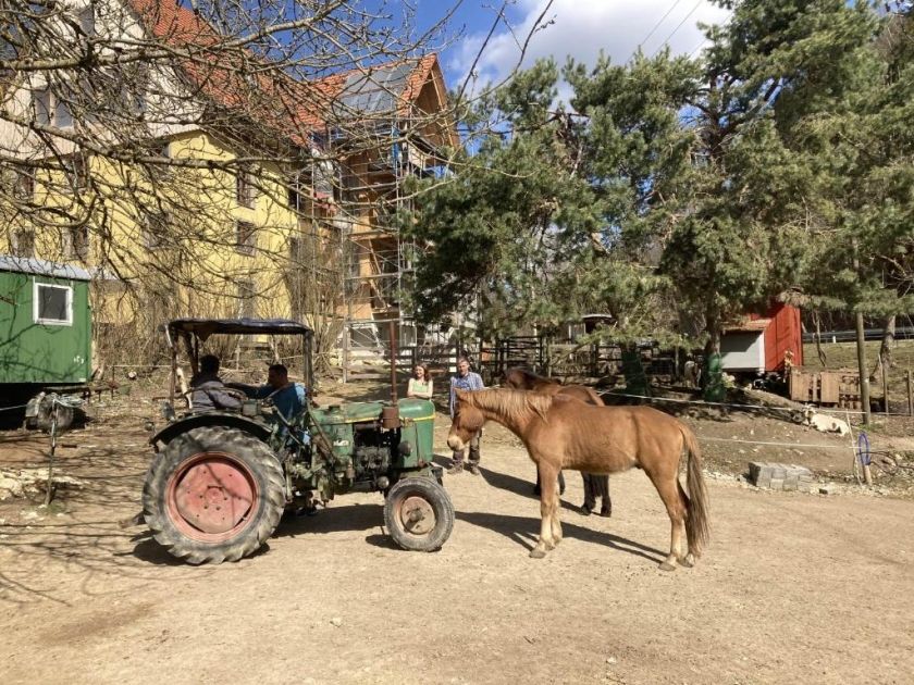 Ferienwohnung Dachsmühle - Natur und Tiere - Toll für Kinder und Wanderer