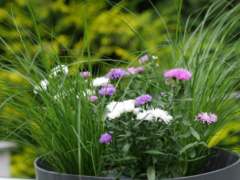 Landhaus SoonZauber - Charmantes Ferienhaus mit moderner Ausstattung