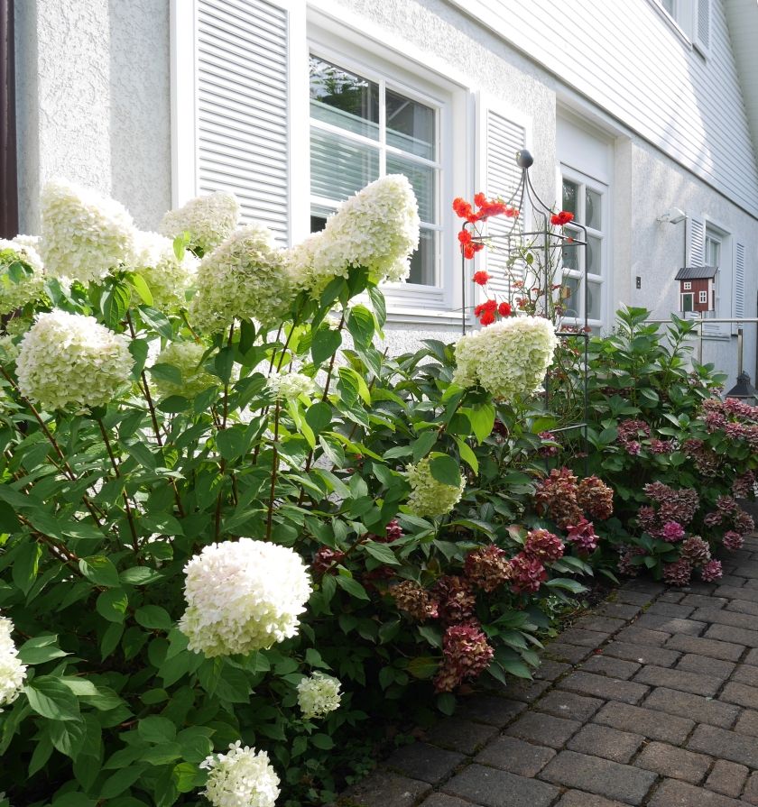 Landhaus SoonZauber - Charmantes Ferienhaus mit moderner Ausstattung