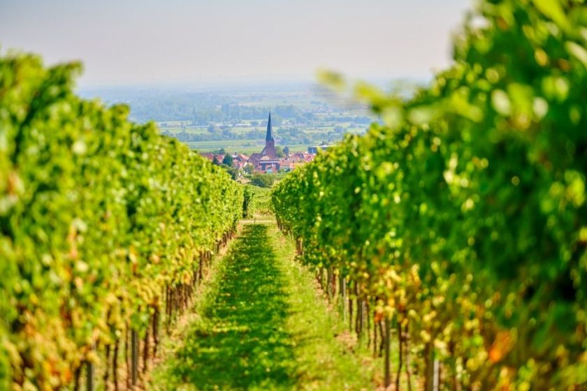 Weingut Seitz-Schreiner & Ferienwohnung - Südliche Weinstraße
