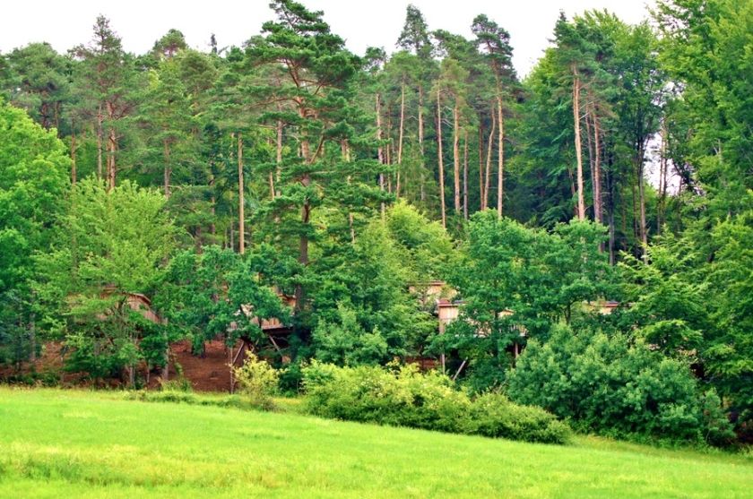 Baumpalast Baumhaushotel Rosenberg