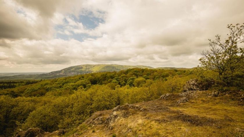 Verwöhnhotel Bastenhaus - Stollhof Hotel-Restaurant