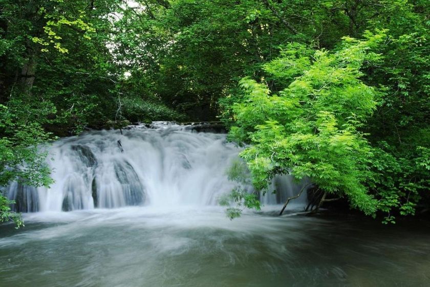 Ferienwohnung Christine