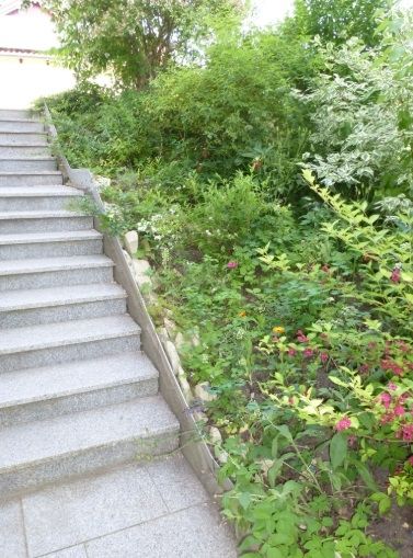 Ferienwohnung Raunecker